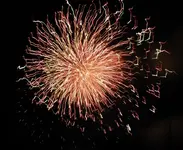 DSCN5481.webp