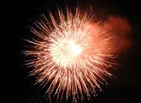 DSCN5487.webp