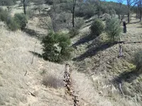 101_3629.webp