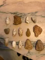 ImageUploadedByTreasureNet.com1530052631.199943.webp