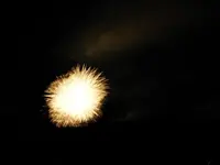 DSCN5495.webp