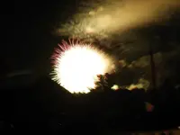 DSCN5498.webp