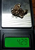 20180704_065613.webp