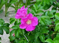 K1600_178.webp K1600_178.webp