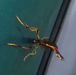DSCF7614.webp