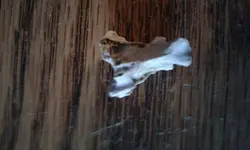 20180616_192051.webp