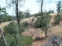101_4094.webp