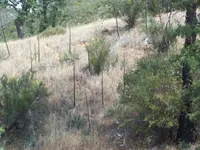 101_4096.webp
