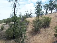 101_4099.webp