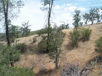 101_4100.webp