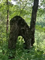 ImageUploadedByTreasureNet.com1538890640.521293.webp