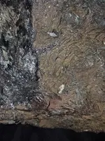 12rock.webp