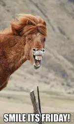 af50fa080aff50dff3338b12dea5cedb.webp