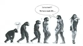 Evolution.webp