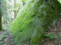 DSCN9475.webp