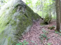 DSCN9476.webp