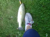 Hudson-20130616-00079.webp