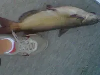 Hudson-20120904-00043.webp
