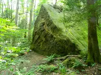 DSCN9477.webp