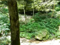 DSCN9456.webp