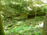 DSCN9463.webp