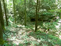 DSCN9464.webp
