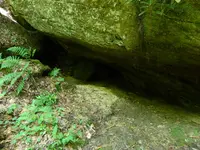 DSCN9469.webp