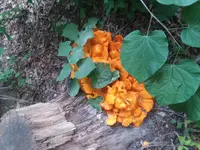 20180811_130047.webp