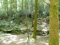 DSCN9478.webp