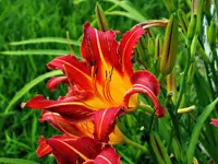 DSCN1930.webp
