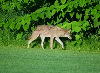 K1600_004.webp