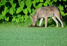 K1600_005.webp