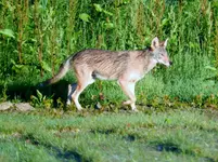 K1600_012.webp