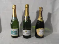 DSCF3771.webp