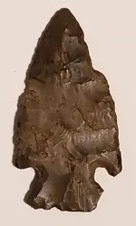 20180811_214902.webp