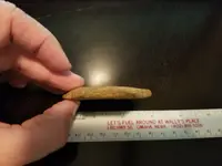 skipping-rock-07-24-2018B.webp
