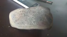 1532477788813670338256.webp