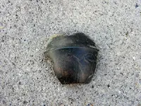 DSCN6196.webp