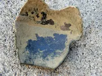 DSCN6200.webp
