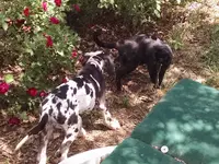IMG_20180607_112007006.webp