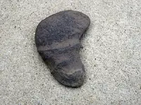 DSCN6192.webp