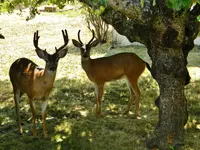 DSCN2055.webp