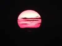 DSCN5898.webp