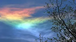 tumblr_nhipxoUDw61s1vn29o1_640.webp
