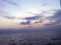 DSCN5867.webp