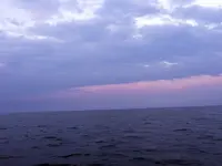 DSCN5866.webp