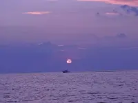 DSCN5882.webp