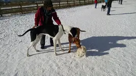 IMG_20151202_101546297.webp
