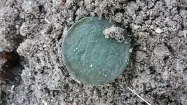 20180624_190938.webp