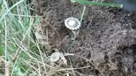 20180624_191929.webp